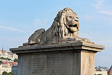 《圈圈勇士》1月24日登陆Steam 循环打怪卡牌构建策略